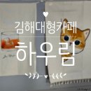 금관대로 | 김해 드라이브 카페 하우림 카페, 장유 근처 넓은 베이커리 카페