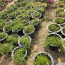 반석농장 이미지