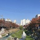 한국역사해설진흥원 서포터즈 사관 1기 발대식 후기