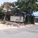 삼례터미널 네이버블로그