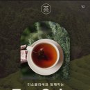 청춘 살롱(Salon)