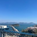 돌산공원 정상 이미지