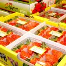 농어민 후계자마트 네이버블로그