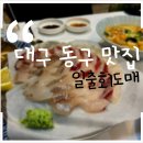일출회도매