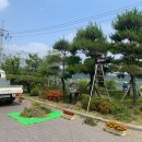 도림원 이미지