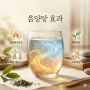 동양워터정수기 | 음양탕 뜻과 마시는 법, 매일 아침 먹는방법 비율
