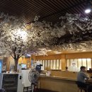 스시가 초밥집 이미지