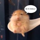[9월] 처먹고 놀기만해서 시간이 너무 빨리감