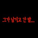 대헌