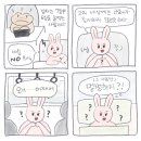 두꺼비상사 이미지