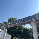 장미 | 중랑장미축제 후기 실시간 개화상황[5.18.(일)]