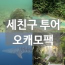 세친구 | 세부 세친구 투어 | 오캐모팩 추천 | 내돈내산 후기