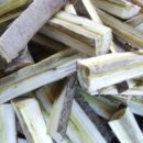 우리참옻 이미지