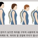 우리메디칼보조기 이미지