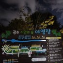 광주시민의숲 야영장 | 광주 시민의숲야영장 가을캠핑 시민의숲야영장예약