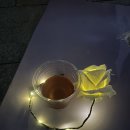 요가2(야간) | 2025 별바다부산 로즈나잇요가 내돈내산 참석후기