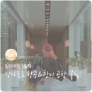 향내약국 | [발리여행] ✈️ 싱가포르항공 SQ607 탑승 &amp; 싱가포르 창이공항 경유 후기