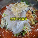 선영이네 | 썬밸리cc 맛집 선영이네물회전문점 봉포해수욕장 맛집 혼밥 후기