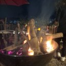 11월29일(토.일) 일박이일 문산 운천리 낙엽 타는 연기~삼겹살 바베큐 파티/정헌님 잡은 갑오징어.쭈꾸미 도 같이 이미지