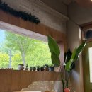 일곡동 제2근린공원 옆 | 광주 일곡동 카페 두지베이크하우스 후기 내돈내산