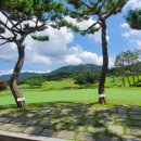 임페리얼CC(대중제) 이미지