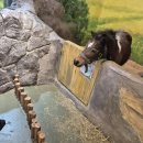 해피키즈어린이집 | 천안 해피애니멀 가격 동물 먹이주기 체험 아이랑 갈곳 추천