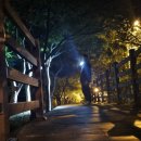 (합)조광 이미지