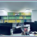 성지세무회계
