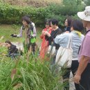 한숲물빛공원 이미지