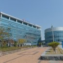 치매안심센터2 이미지