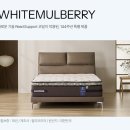 한지장 | 씰리침대 화이트멀버리 매트리스
