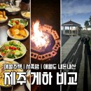 양이주택 | 제주 애월 게스트하우스 내돈내산 비교 애월주택 서쪽밤 애월도 파티 2차 솔직후기