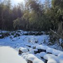 영찬농장 이미지