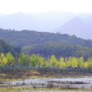 은행마을 이미지