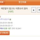 계란마스터 Daum카페
