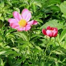 김건호농장 이미지