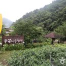 나라펜션