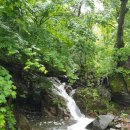 충주호 주봉산 이미지