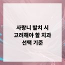 양덕치과의원 | 사랑니 발치 시 고려해야 할 치과 선택 기준