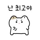 소보소보 이미지