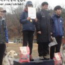 한국애견대학 이미지