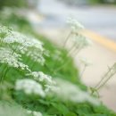 눈부신날에 이미지