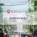 25.02.16 싱가포르에서 인도네시아로~ (🇸🇬 싱가포르 5일차, 🇮🇩 인도네시아 1일차 / 발리)