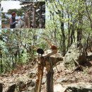 옥수골 마을 | [창원] 적석산(積石山·497ｍ) 산행후기---2023년 4월 9일(일)