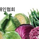 법인농업회사친환경농축산 Daum카페