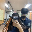 정진종합카 | 24.02 종합