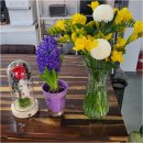 남춘천부동산공인중개사사무소 | 춘천에서 부동산 매매 고민? 공감부동산과 함께 쉽게 해결하세요!