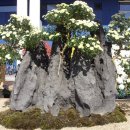 광주광역시청 B 이미지