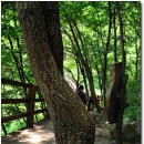 산막이약수터 이미지