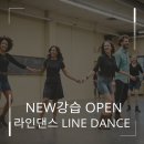 라인댄스(낮) 이미지